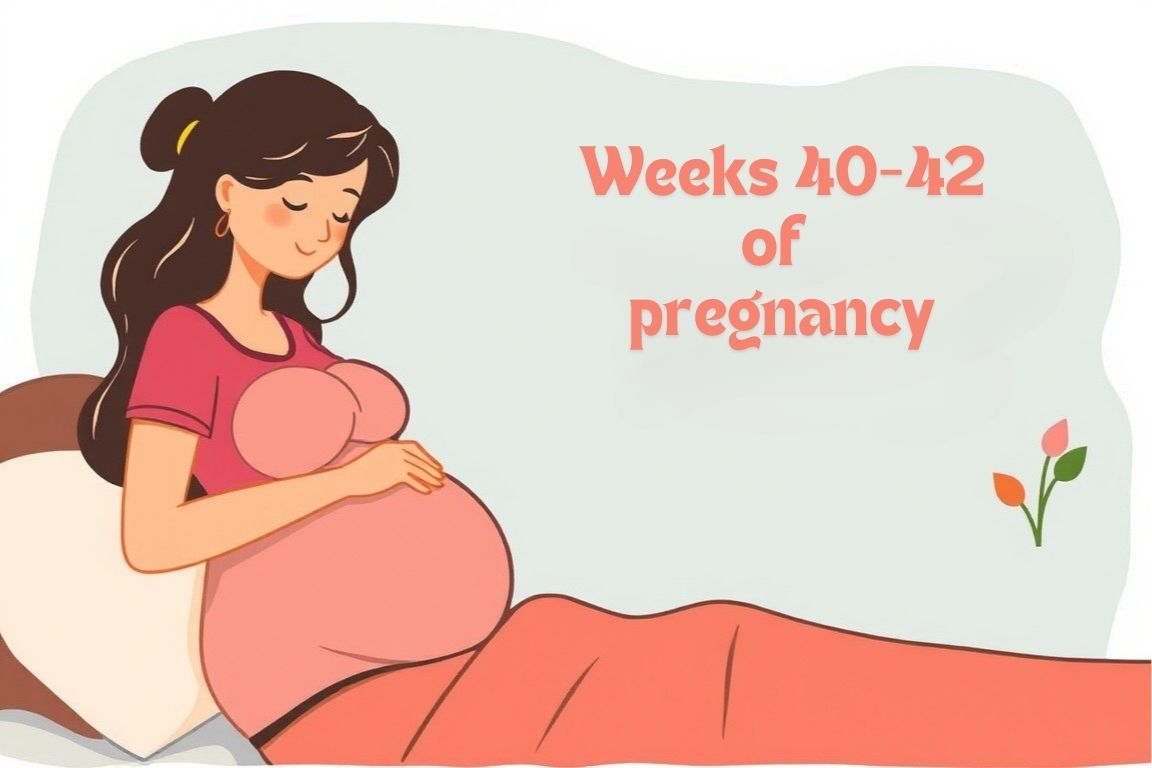 Due Date Approaches (Weeks 40-42 of pregnancy)